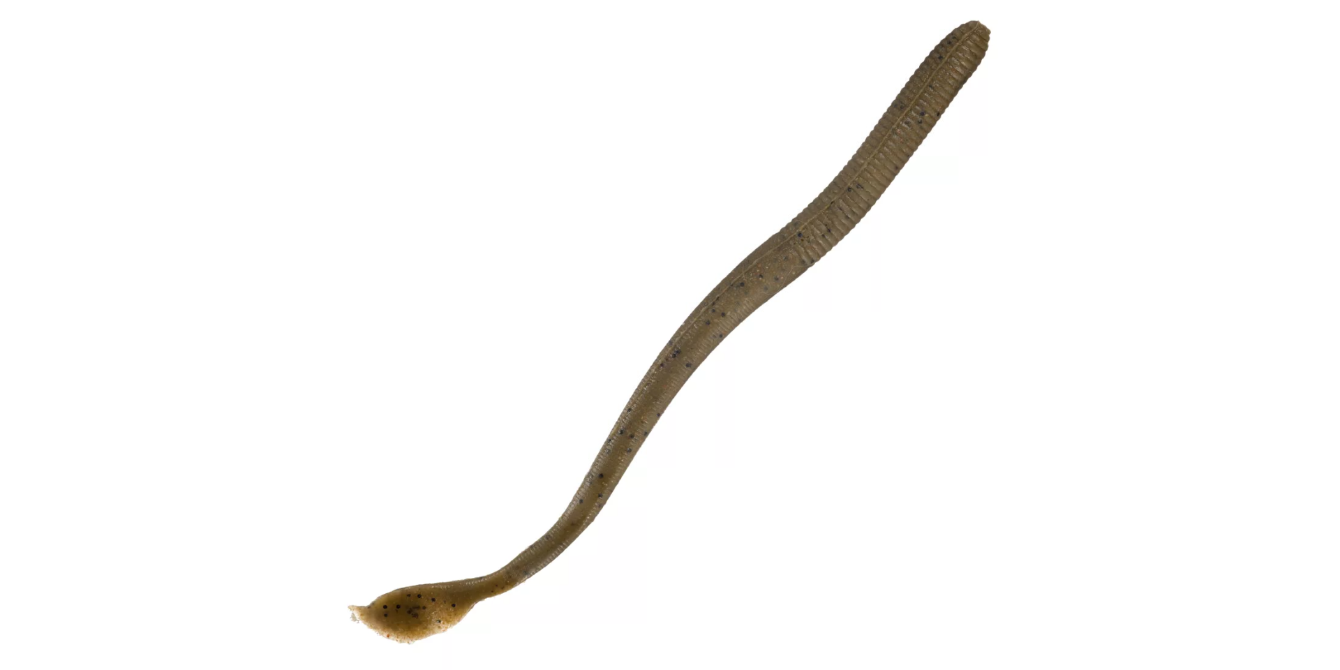 GULP NIGHT CRAWLER 6"